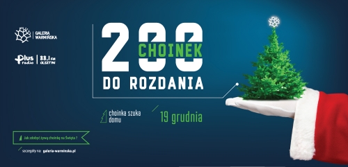 200 CHOINEK DO ROZDANIA