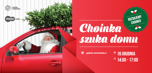 Choinka szuka domu
