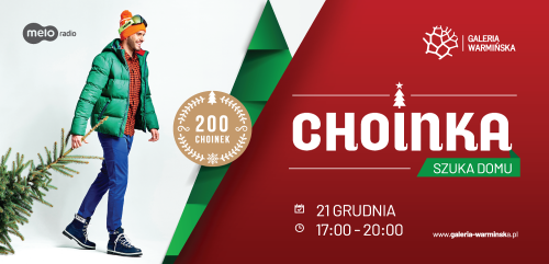 Choinka Szuka Domu