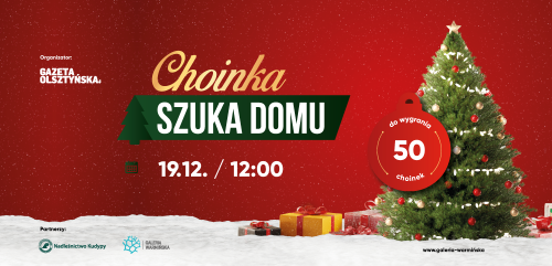 Choinka szuka domu